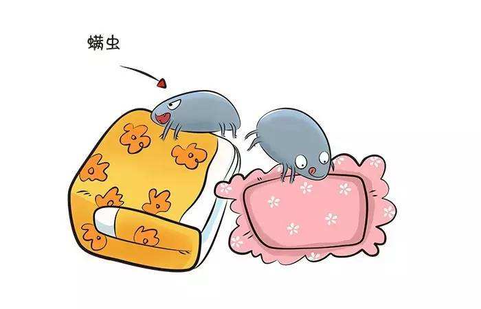 除螨行動大作戰(zhàn) 把螨蟲趕出你的被窩