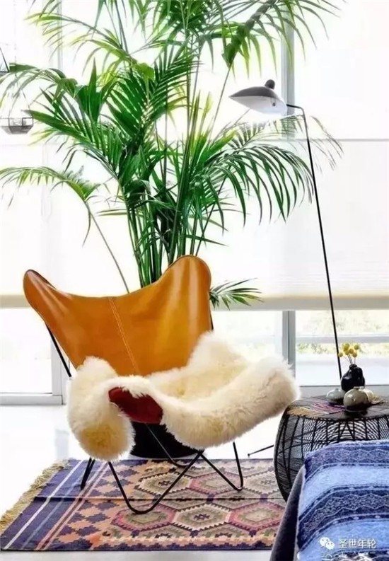 臥室綠植營(yíng)造清新空間！