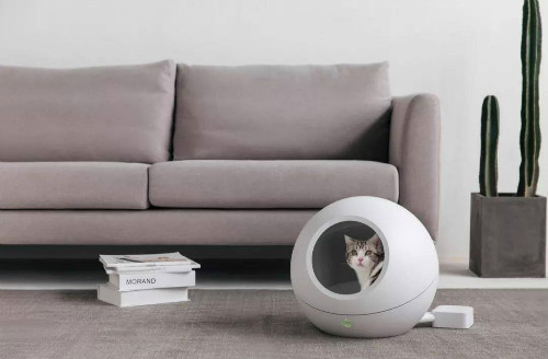 寵物經(jīng)濟(jì)影響小家電行業(yè)時(shí)代已經(jīng)到來