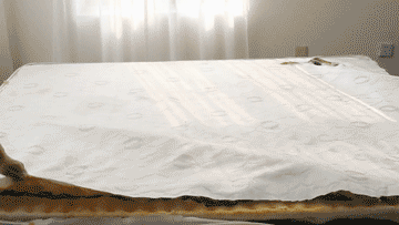 每天和你親密接觸的床墊 拆開看后發(fā)現(xiàn)坑太多了
